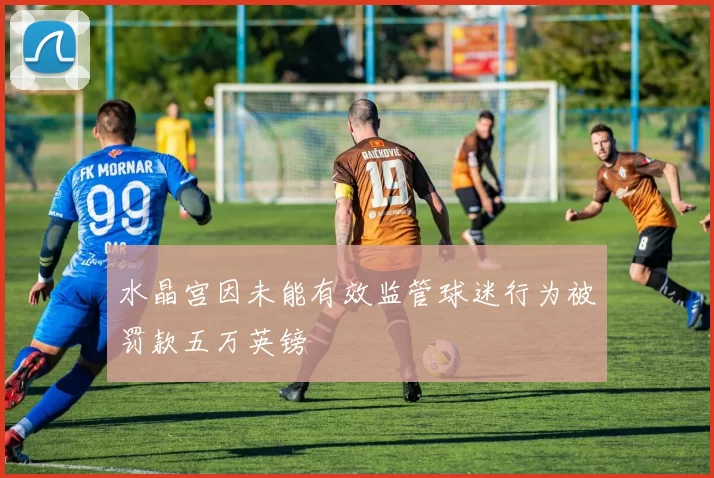 水晶宫因未能有效监管球迷行为被罚款五万英镑